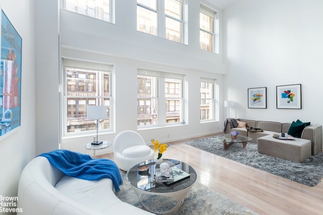 living room with hardwood / wood-style floors and a high ceiling