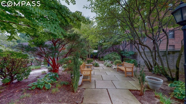 view of yard with a patio area