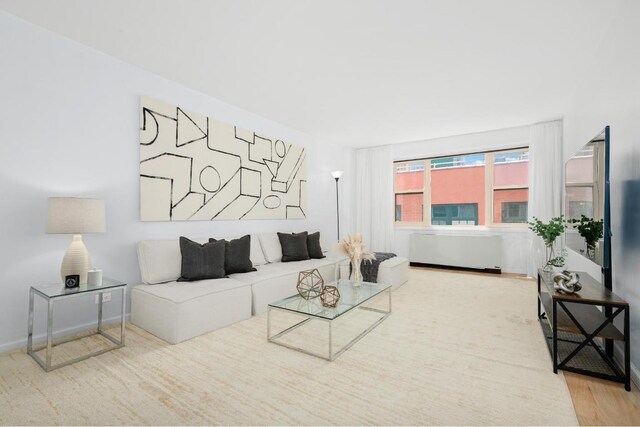 living room with radiator, baseboards, and wood finished floors