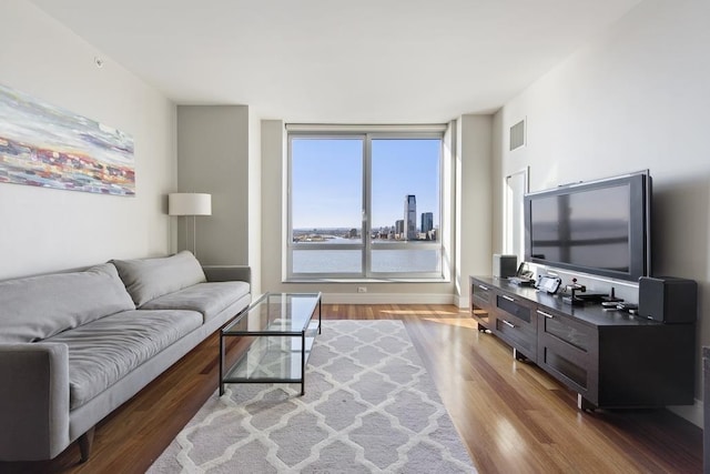 living room featuring hardwood / wood-style flooring