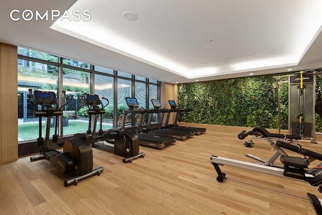 workout area featuring a raised ceiling, floor to ceiling windows, and wood-type flooring