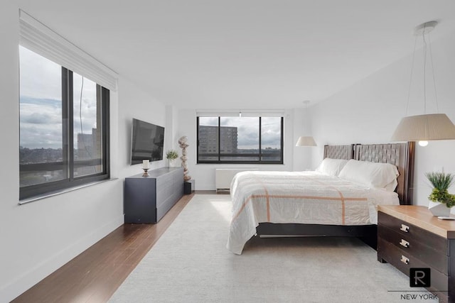 bedroom featuring radiator, baseboards, and wood finished floors