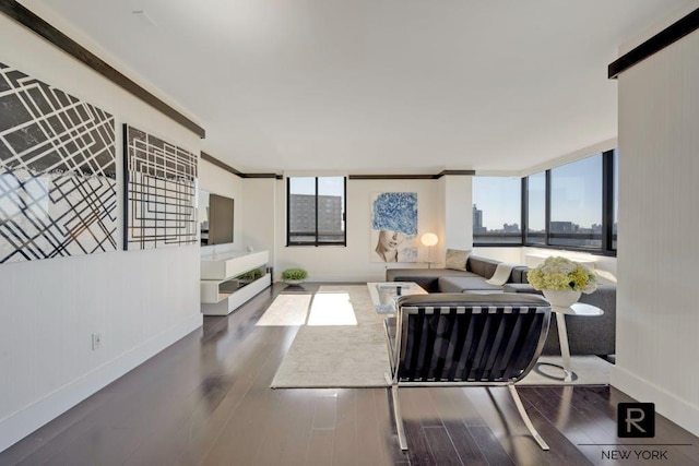 living area with dark wood-type flooring, plenty of natural light, and baseboards