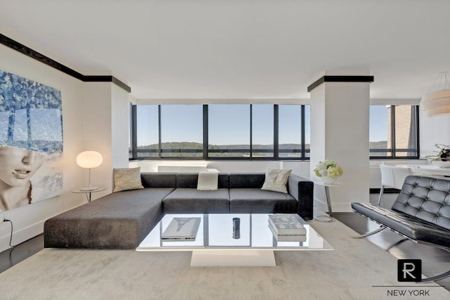 living area featuring baseboards and crown molding