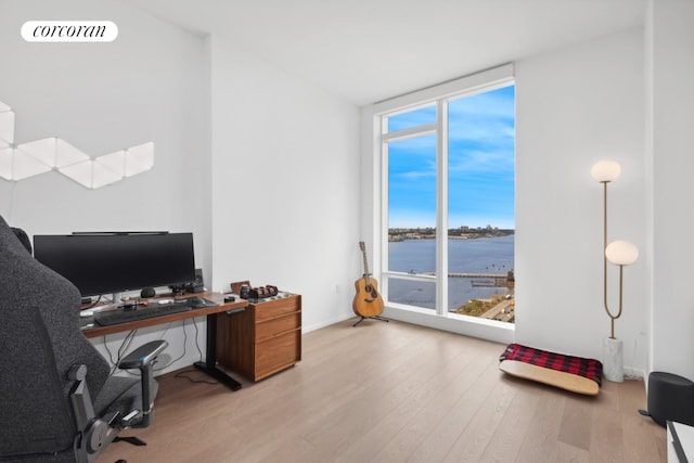 home office with a water view, a healthy amount of sunlight, wood-type flooring, and expansive windows