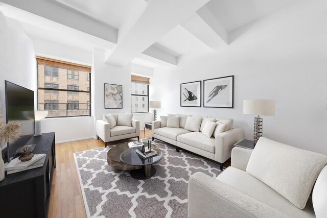 living room featuring light hardwood / wood-style floors