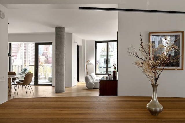 9 Chapel St Unit 8A, New York City, NY 11201 - hall featuring wood finished floors
