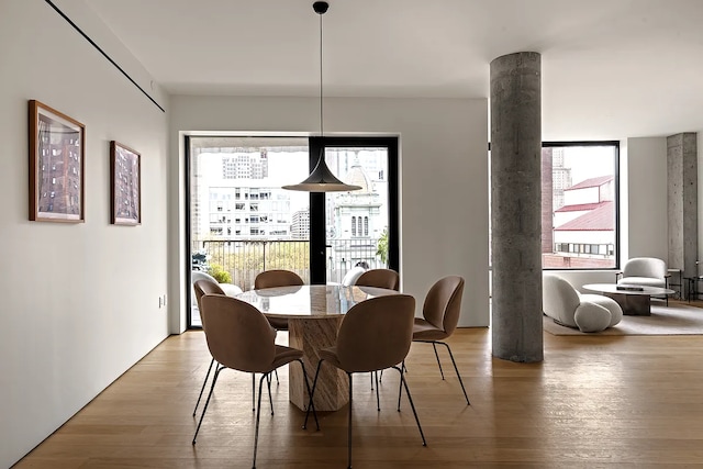 9 Chapel St Unit 8A, New York City, NY 11201 - dining space with light wood-style flooring and a healthy amount of sunlight