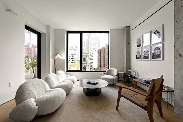 9 Chapel St Unit 8A, New York City, NY 11201 - sitting room with a healthy amount of sunlight and a city view