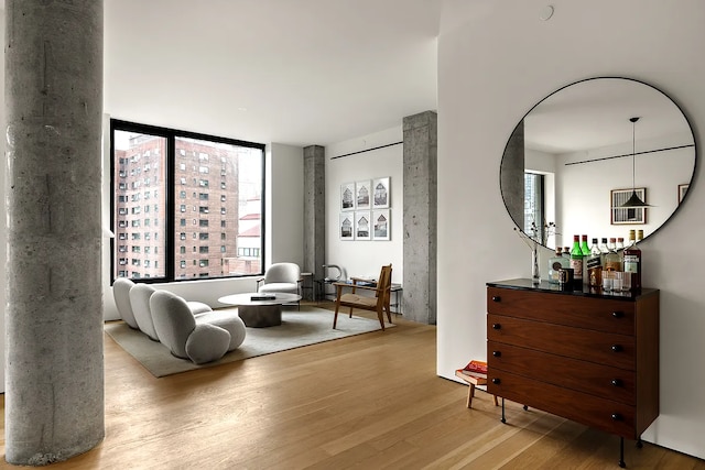 9 Chapel St Unit 8A, New York City, NY 11201 - sitting room featuring a wealth of natural light and wood finished floors