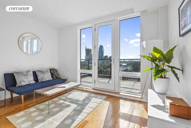 living room featuring light wood-type flooring and a wealth of natural light