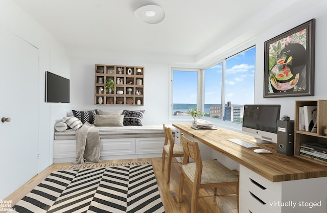 office space featuring light wood-type flooring