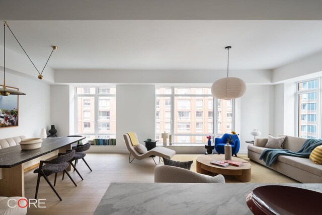 living room featuring a healthy amount of sunlight and light wood-type flooring