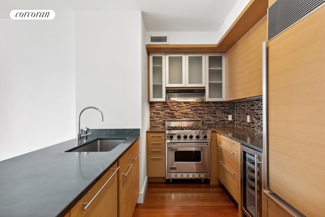 kitchen with tasteful backsplash, sink, wine cooler, high end appliances, and exhaust hood