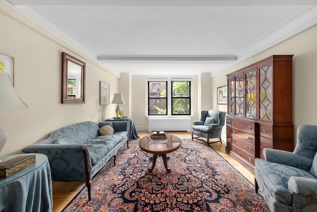 333 E 53rd St Unit 5Kl, New York City, NY 10022 - living area with light wood-style floors and ornamental molding