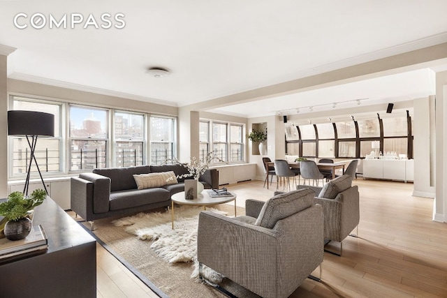 living room featuring light hardwood / wood-style flooring, ornamental molding, and rail lighting