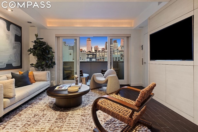 living room featuring a raised ceiling