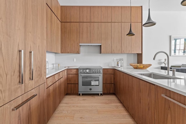 kitchen with light hardwood / wood-style floors, sink, hanging light fixtures, and high end stove