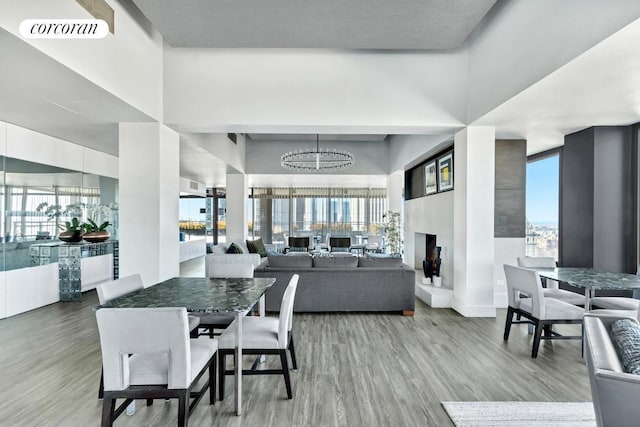 dining space with a chandelier and hardwood / wood-style floors