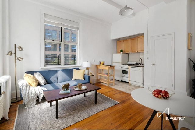 living room featuring light hardwood / wood-style floors