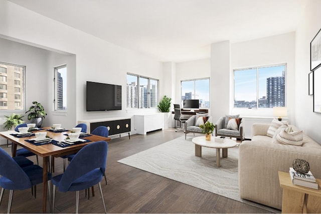 living room featuring dark wood-style floors