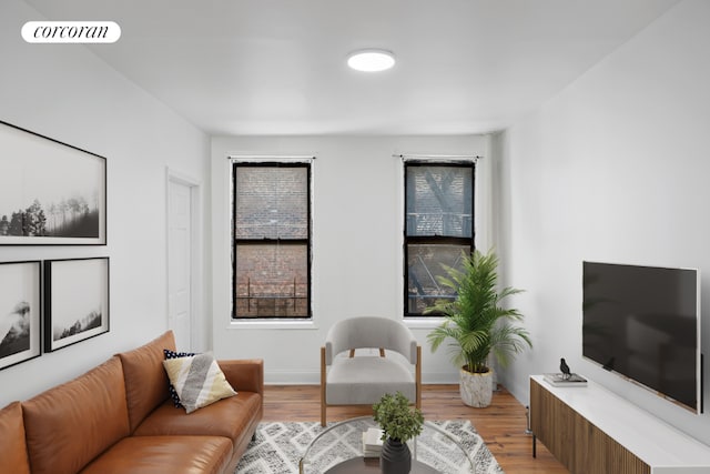 living room featuring light wood-type flooring