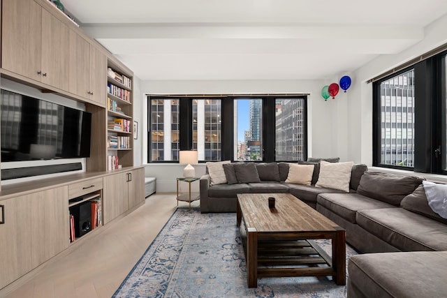 living area featuring beamed ceiling