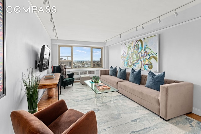living area featuring rail lighting, wood finished floors, and baseboards