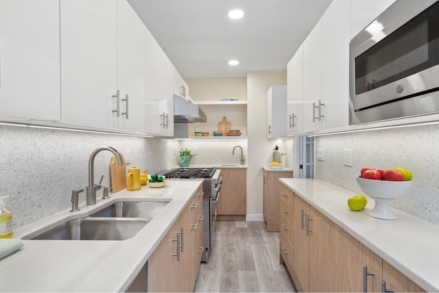 kitchen with a sink, decorative backsplash, light wood-style floors, appliances with stainless steel finishes, and under cabinet range hood