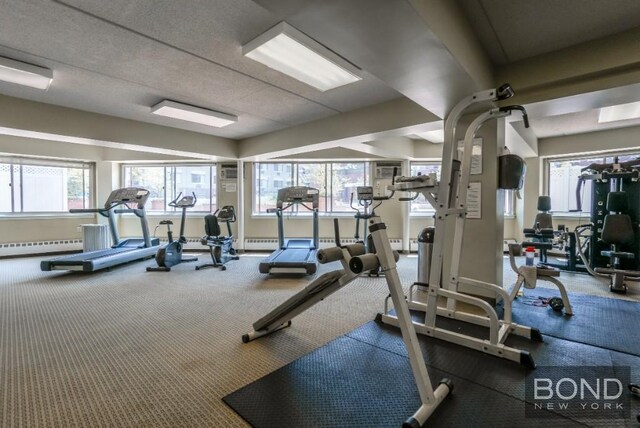 workout area featuring plenty of natural light and carpet flooring