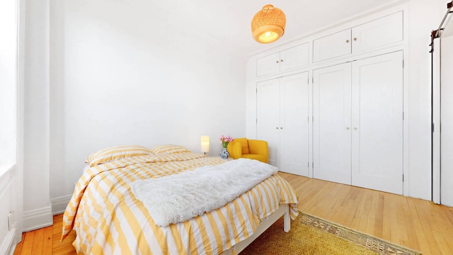 bedroom featuring multiple closets and light hardwood / wood-style floors