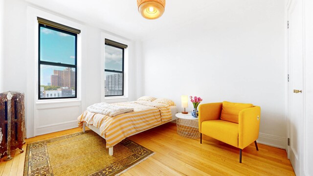 living area featuring light hardwood / wood-style floors