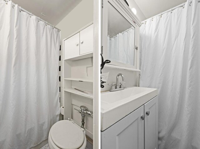 full bathroom featuring toilet, a shower with curtain, and vanity