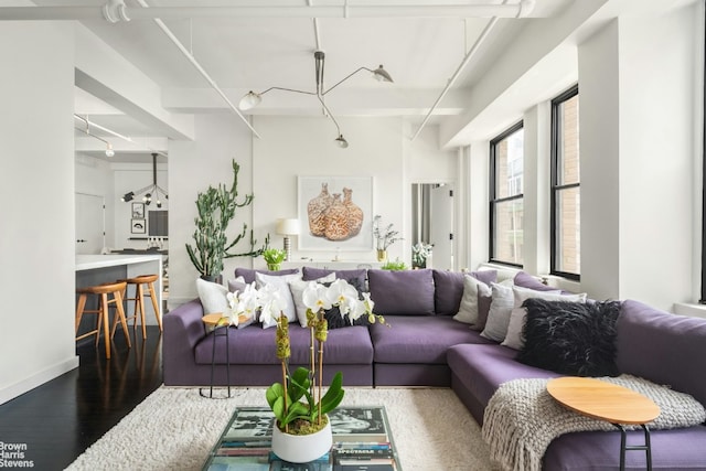 living room featuring hardwood / wood-style flooring