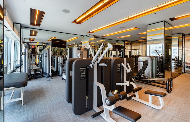 gym featuring carpet flooring