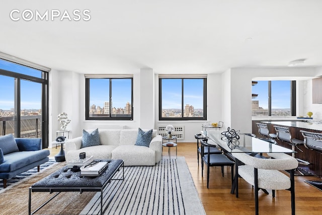 living room with a healthy amount of sunlight, a view of city, and wood finished floors