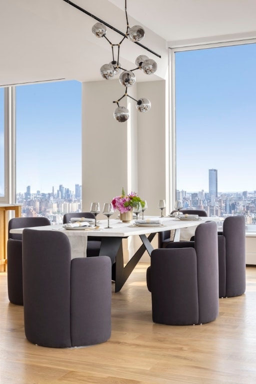 dining space featuring light hardwood / wood-style flooring