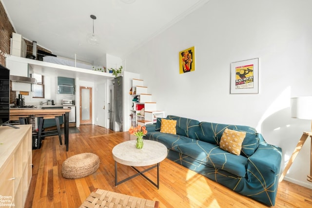 living room featuring crown molding and hardwood / wood-style floors