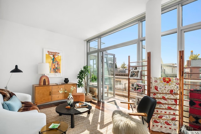 living room featuring wood finished floors and expansive windows