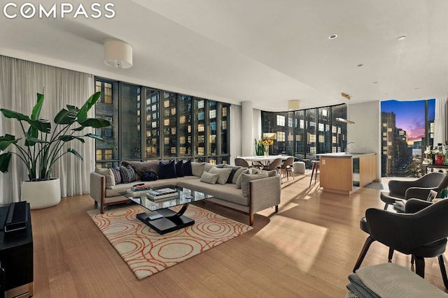 living room featuring expansive windows and light wood-type flooring