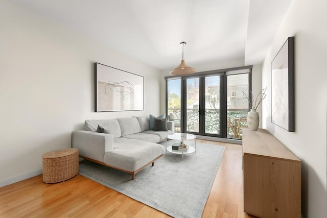 living room with wood-type flooring