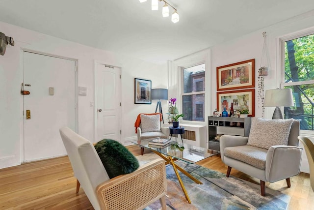 living area featuring hardwood / wood-style flooring