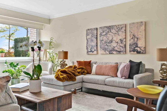 living room featuring crown molding