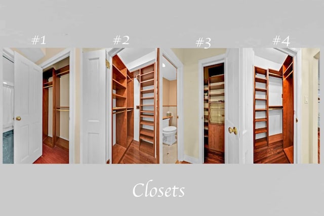 spacious closet with hardwood / wood-style floors