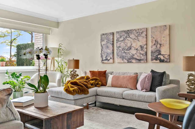 living area with crown molding
