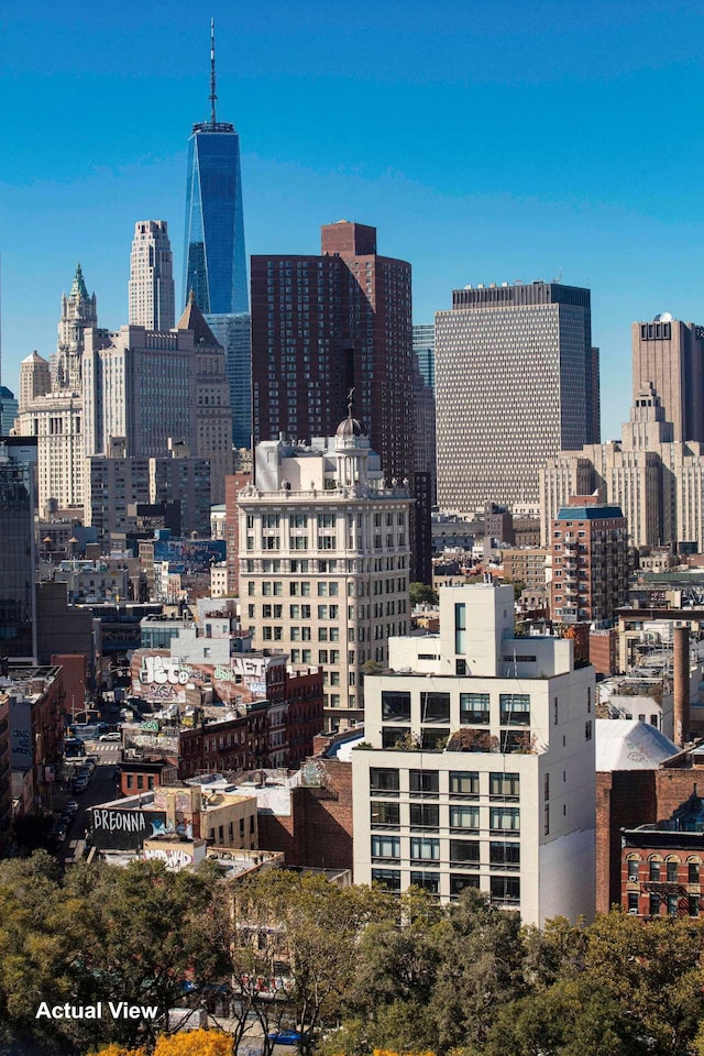 210 E Broadway Unit H1904, New York City, NY 10002 - skyline view