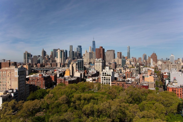 210 E Broadway Unit H1904, New York City, NY 10002 - skyline view