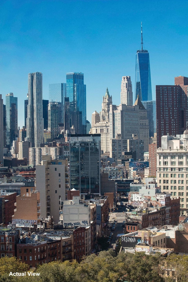 210 E Broadway Unit H1904, New York City, NY 10002 - skyline view