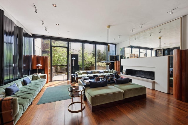 living room with a wall of windows and wood-type flooring