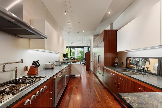 kitchen with appliances with stainless steel finishes, wall chimney exhaust hood, a wall of windows, dark hardwood / wood-style flooring, and sink